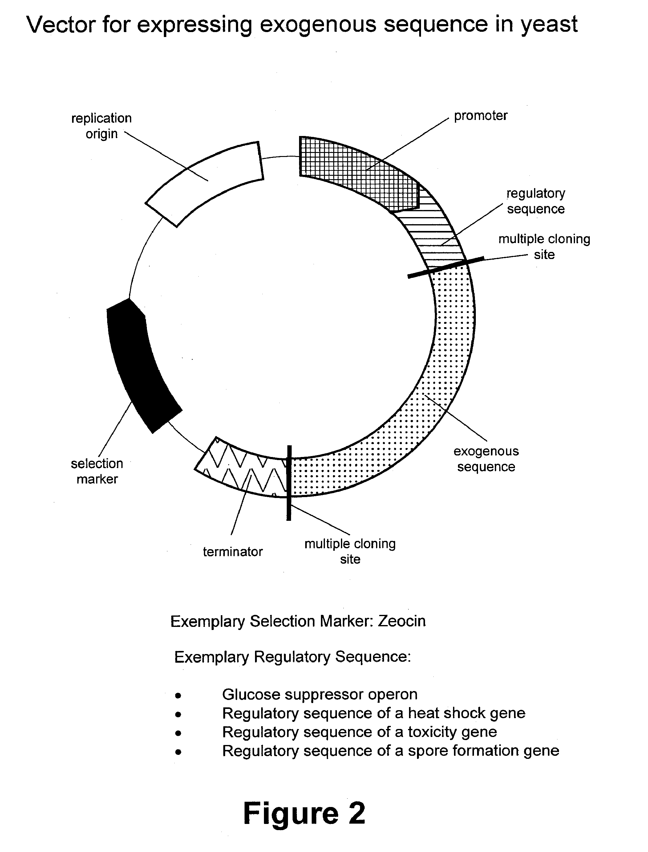 Compositions and methods for producing fermentation products and residuals