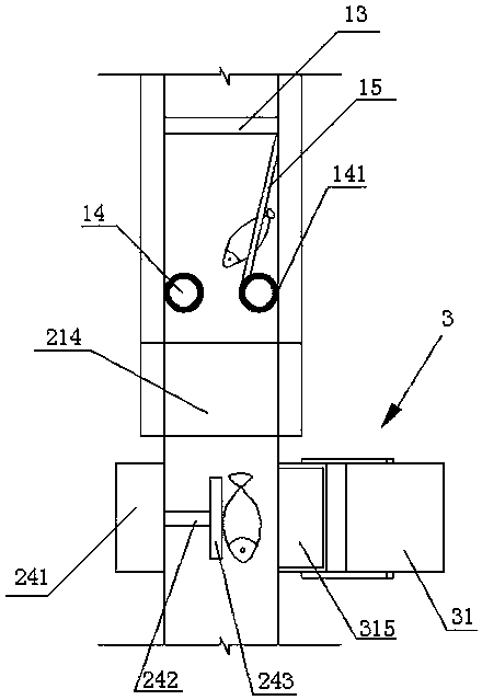 Fish sorting equipment