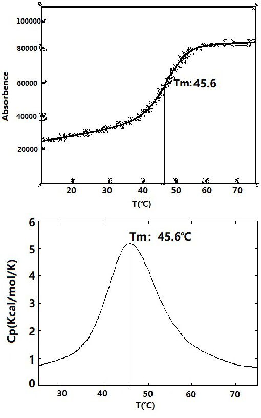 High-risk human papilloma virus typing detection method and kit