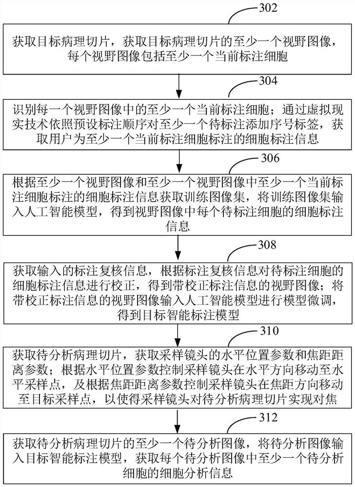 Pathological slice training image set acquisition method, system and device and medium