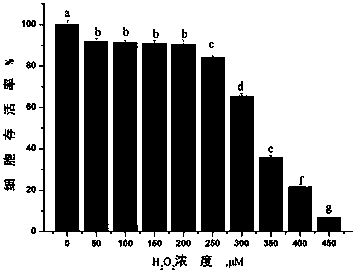 Construction method of oxidative damage model for muscle cell of beef cattle and application of oxidative damage model