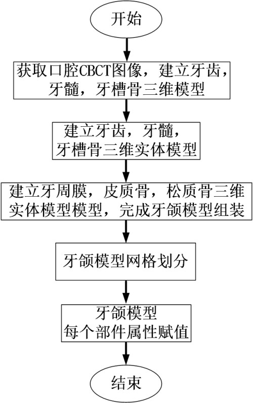 Method for establishing dental jaw finite element model for orthodontics