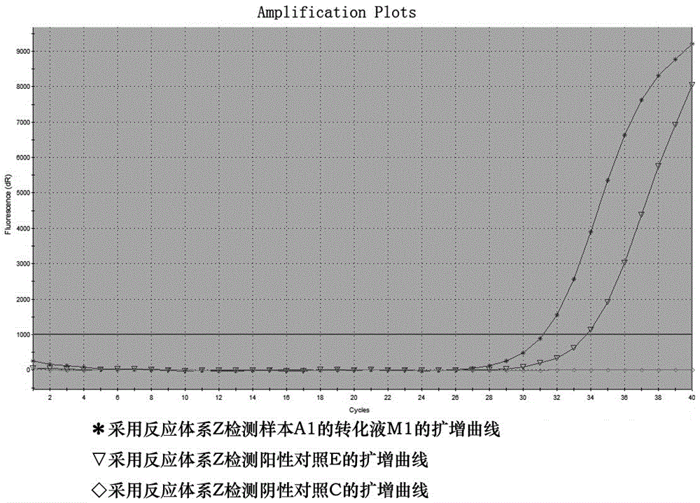 MGMT gene promoter methylation assay primer probe system and kit thereof