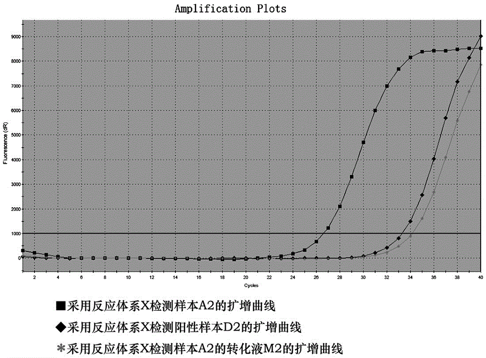 MGMT gene promoter methylation assay primer probe system and kit thereof