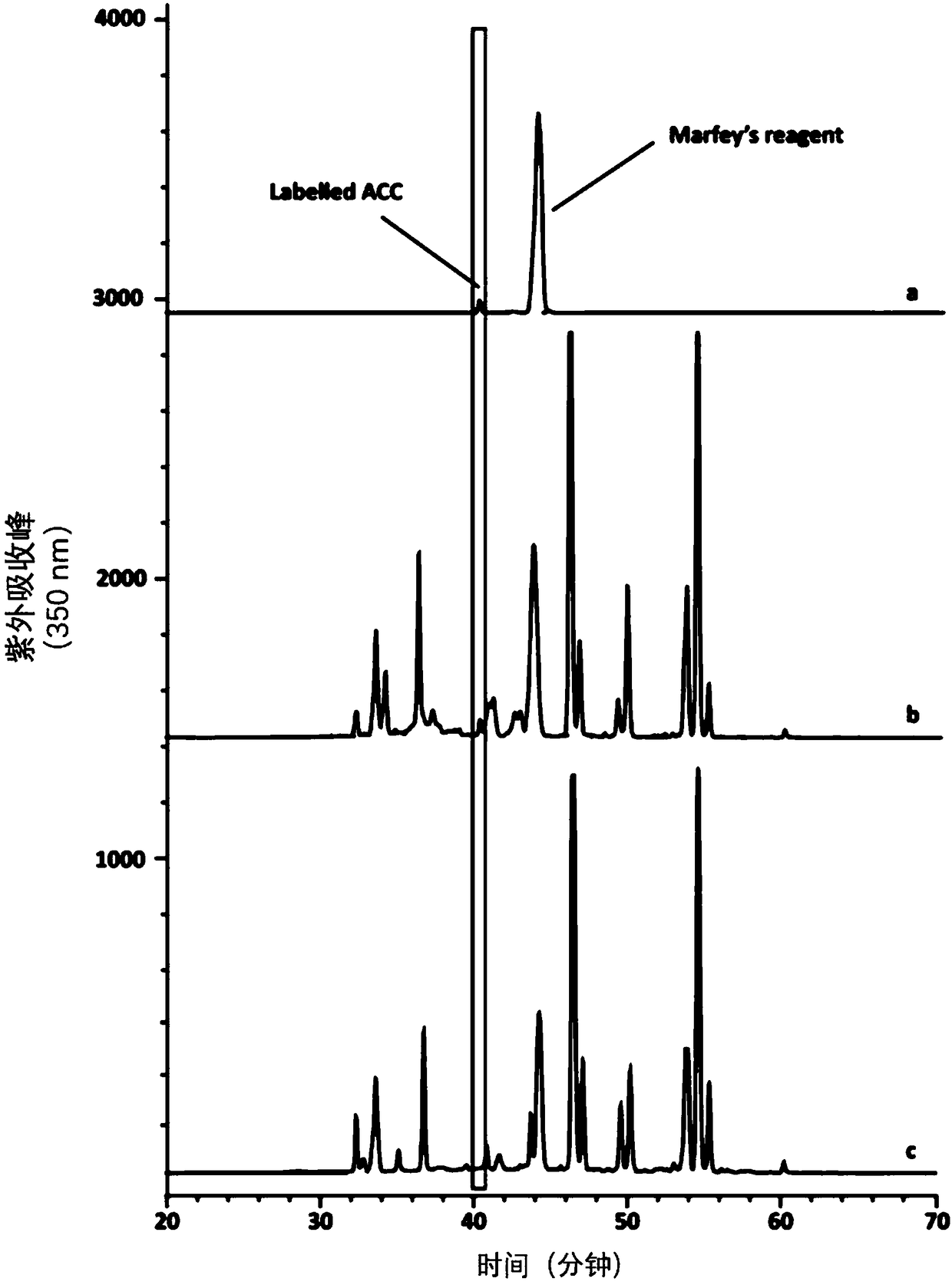 Colloidal lysobacter OH17 and application thereof in plant growth