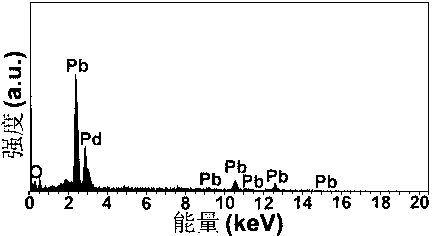 PbxPdO2 block material with room-temperature ferromagnetism, and preparation method thereof