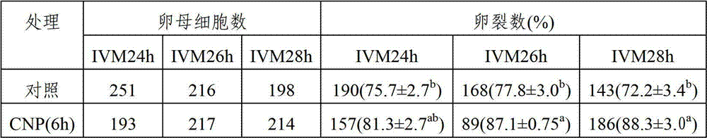 Application of C-type natriuretic peptide to promotion on in vitro maturation of bovine oocyte