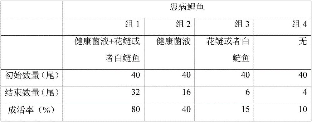 Method of transplanting healthy fish intestinal feces and treating ill fishes