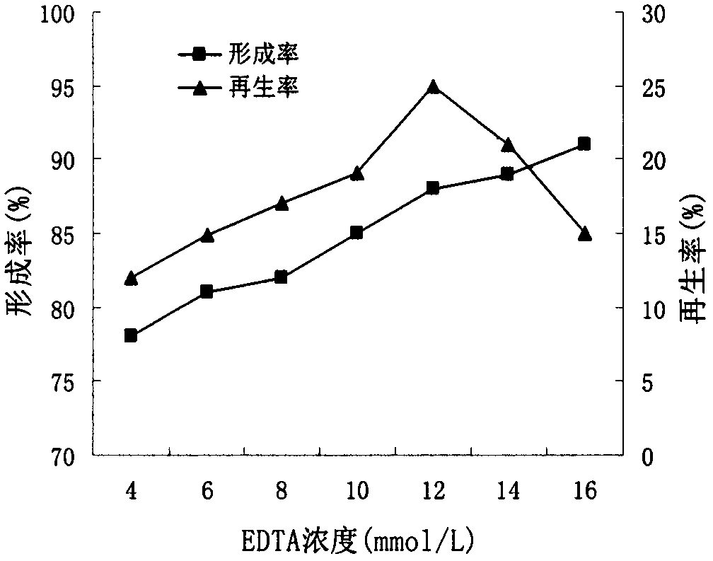 A method for preparing and regenerating protoplasts of Welan gum synthetic bacteria