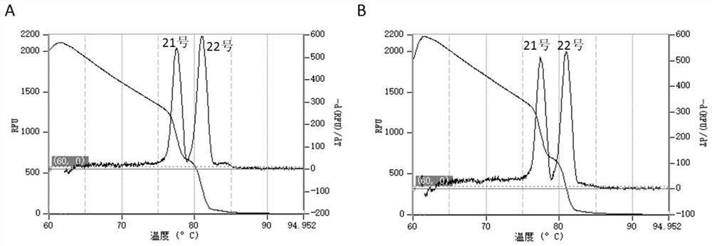 Kit for non-invasive prenatal diagnosis of fetal trisomy in pregnant women and method of use thereof