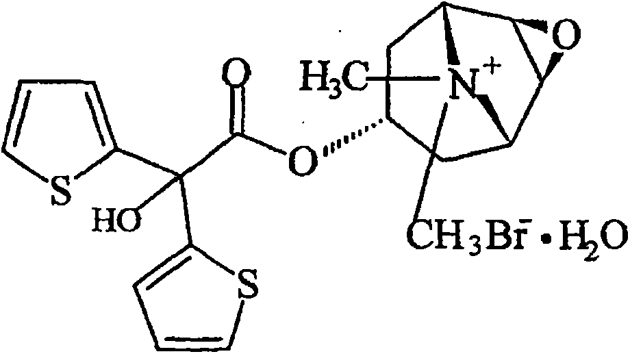 Tiotropium bromide powder inhalation and preparation method thereof