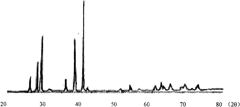 Compact 10 B boron carbide-rich ceramics and preparation thereof