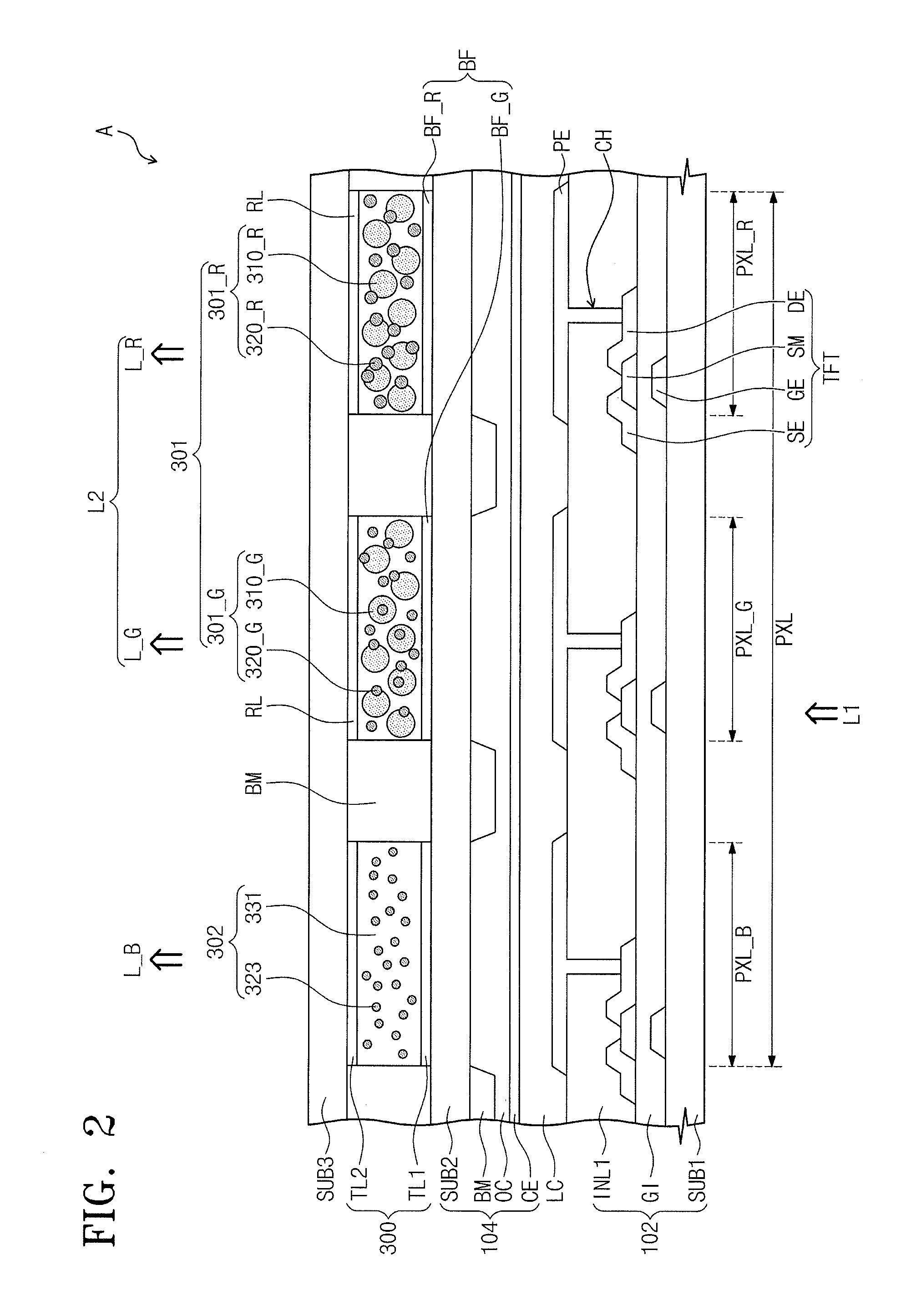 Display device including a color conversion layer