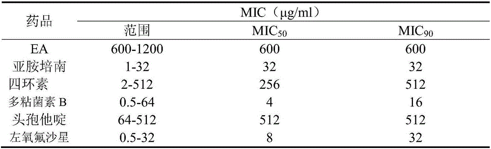 Application of pithecellobium clypearia extracts to preparation of multi-drug resistant acinetobacter baumannii medicine