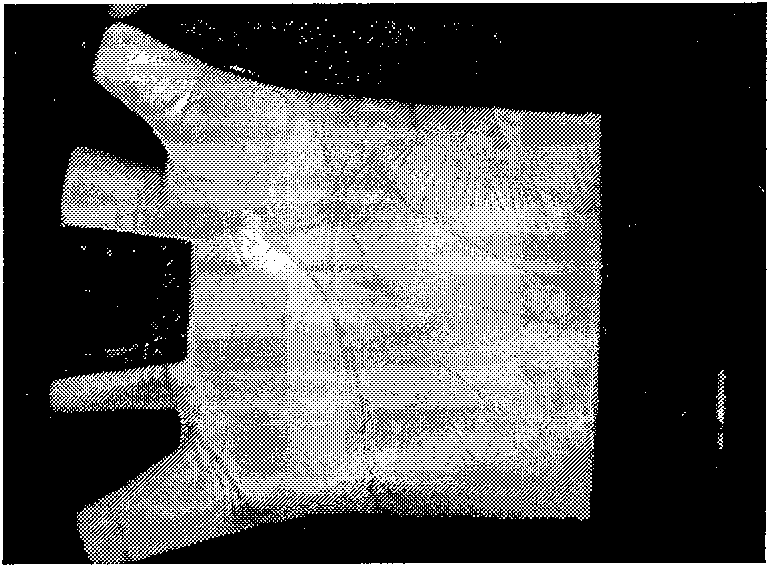 High precision palm print recognition method based on two-dimensional quadrature Log-Gabor filtering