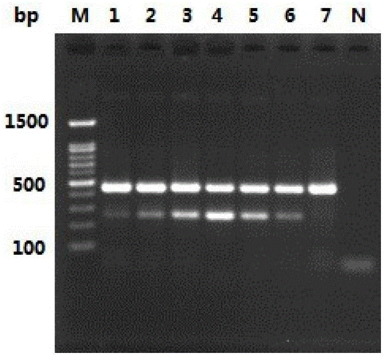 Duck Flavovirus and Duck Plague Virus Duplex RT-PCR Detection Kit