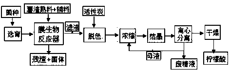 Citric acid extraction method and membrane bioreactor for producing citric acid