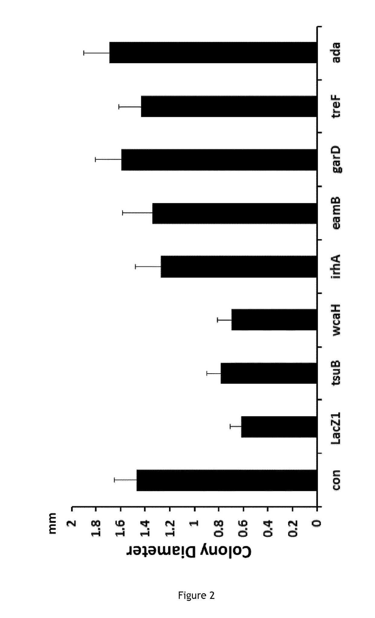 Improving sequence-specific antimicrobials by blocking DNA repair