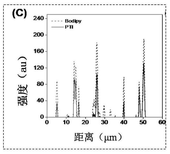 A class of singlet oxygen-type photosensitizer materials with aggregation-induced luminescence properties and their preparation methods and applications