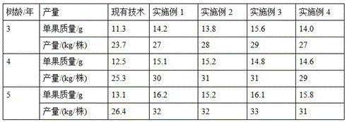 Longan-and-sweet potato interplanting method