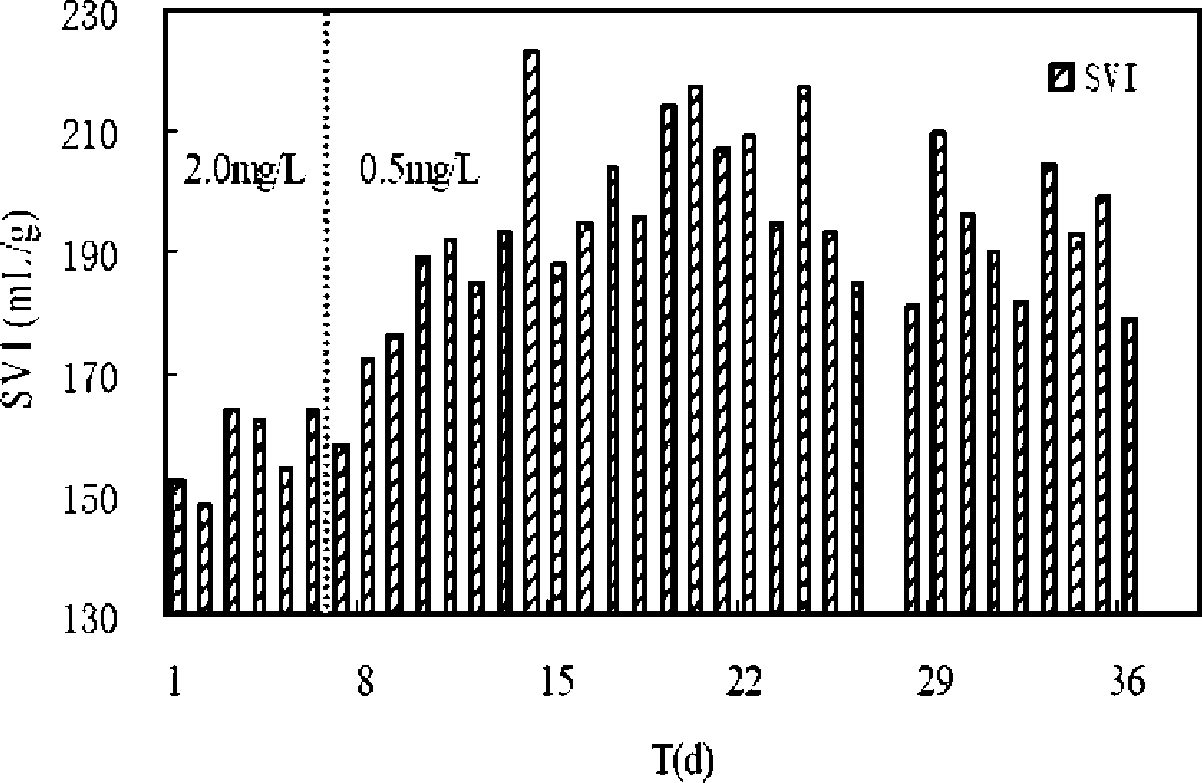 Sludge slight expansion actuating apparatus and method of anoxia/aerobic biological denitrification process