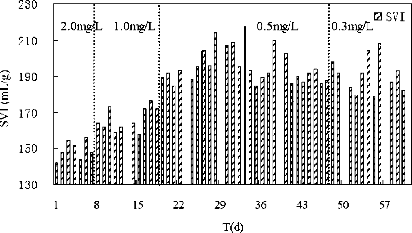 Sludge slight expansion actuating apparatus and method of anoxia/aerobic biological denitrification process