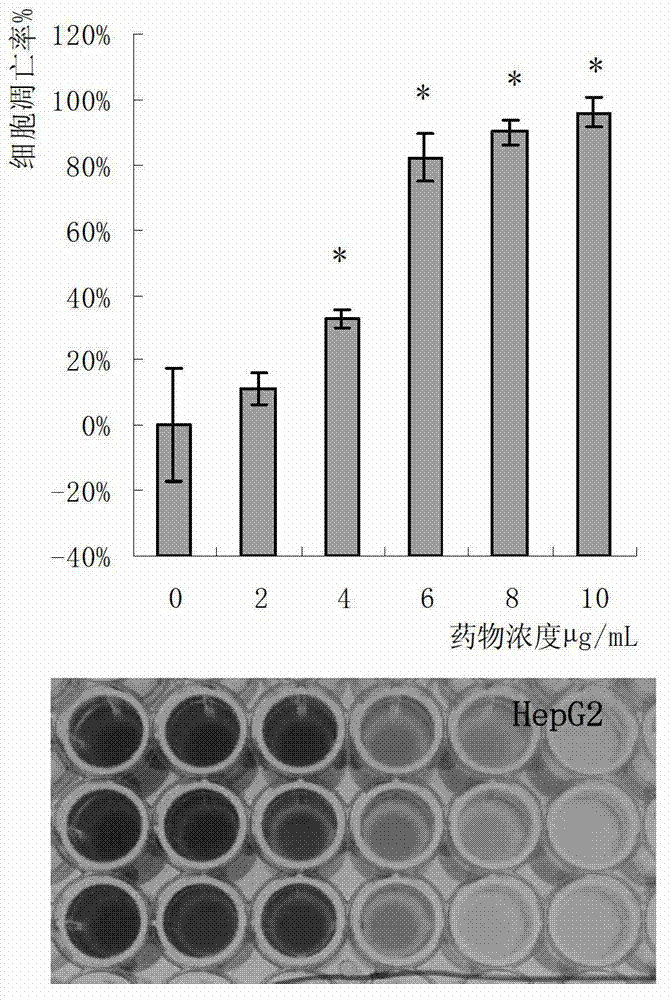 Oudemansiella radicata protein extract and anti-tumor application thereof