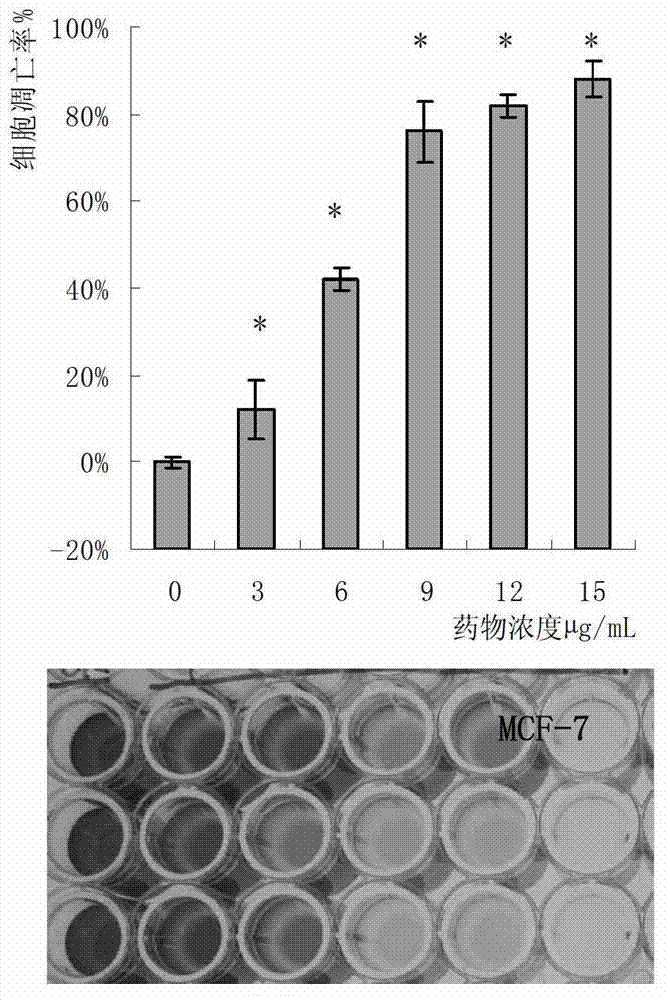 Oudemansiella radicata protein extract and anti-tumor application thereof