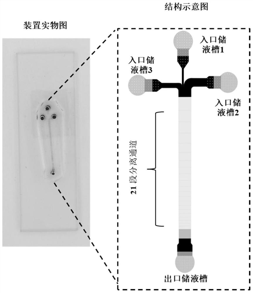 Method for detecting erythrocyte deformability and size change