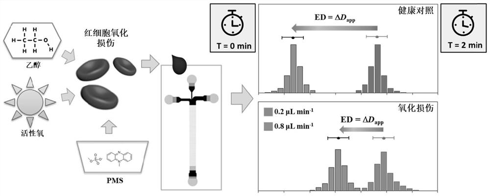 Method for detecting erythrocyte deformability and size change