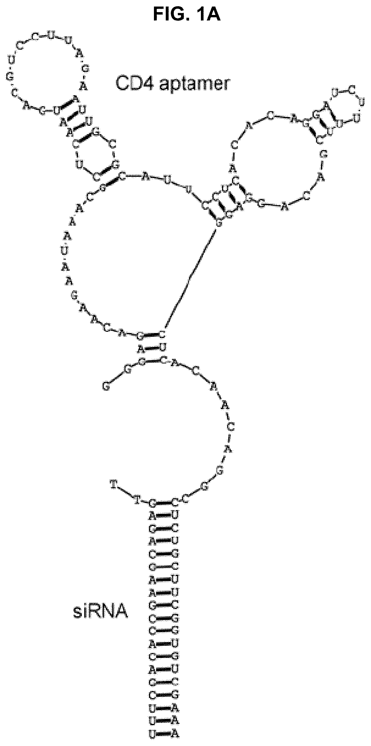 Composition and method for oligonucleotide delivery