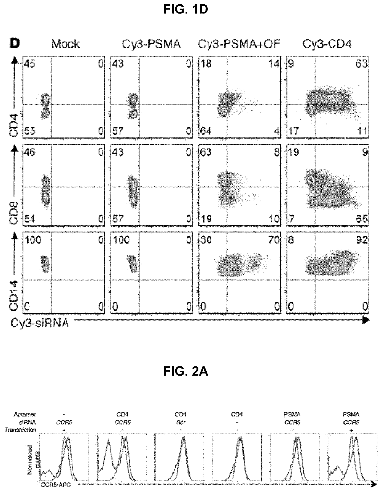 Composition and method for oligonucleotide delivery