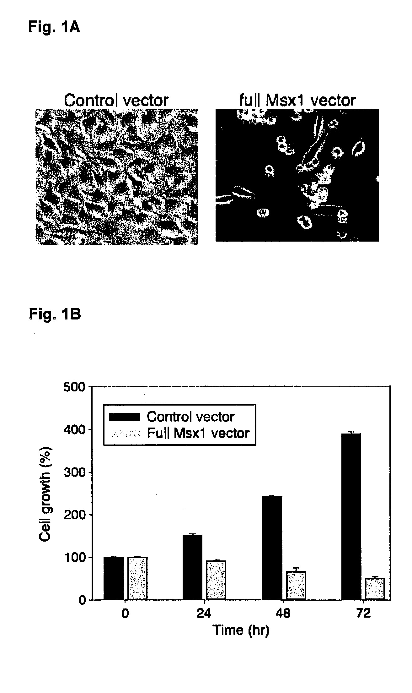 Novel agent for inducing apoptosis comprising msx1 or a gene encoding the same as an active ingredient