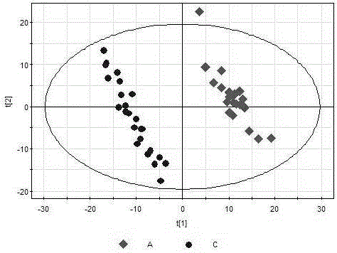 Method for establishing platform for analyzing and predicting cognitive impairment of diabetes based on metabonomics data