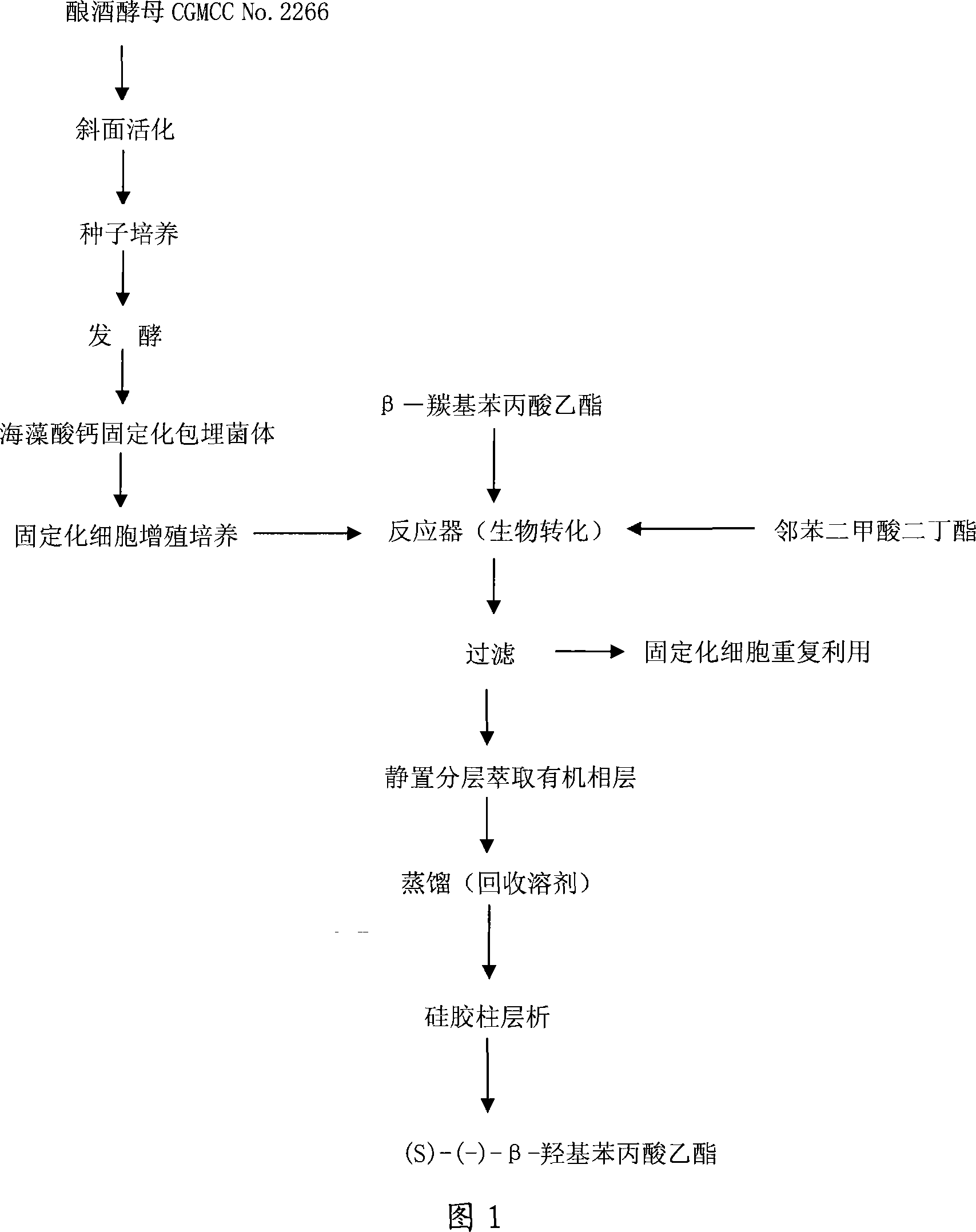 Saccharomyces cerevisiae CGMCC No.2266 and its application in preparation of (S)-(-)- beta-hydroxyphenyl propionic acid ethyl