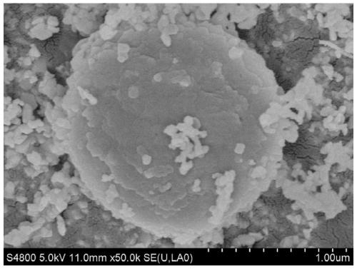 A kind of gear-shaped biodiesel catalyst and preparation method thereof