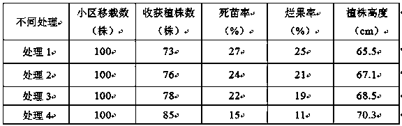 Multifunctional microbial fertilizer and preparation method thereof