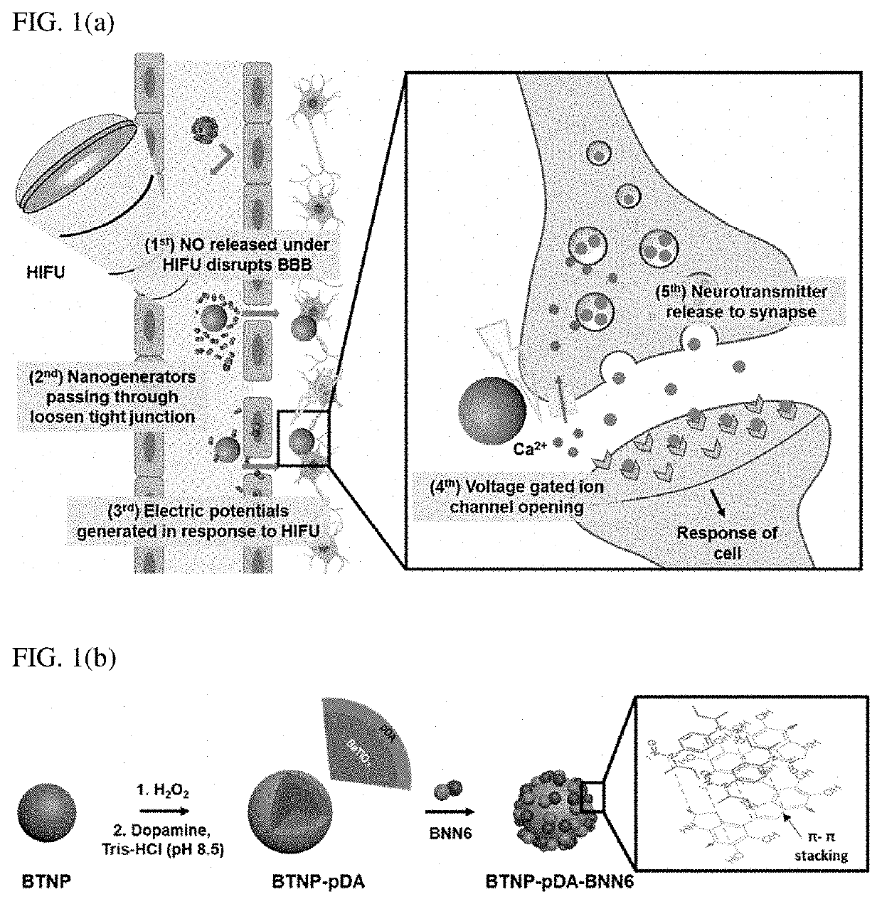 Method for increasing permeability of blood-brain barrier