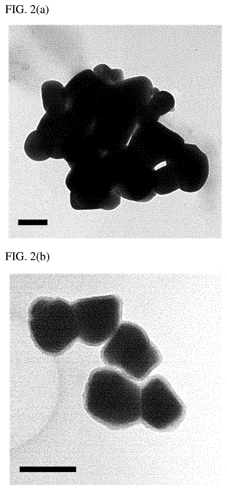 Method for increasing permeability of blood-brain barrier