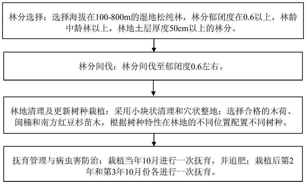 Method for regeneration under forest canopy of standing forest of Pinus elliottii Engelm