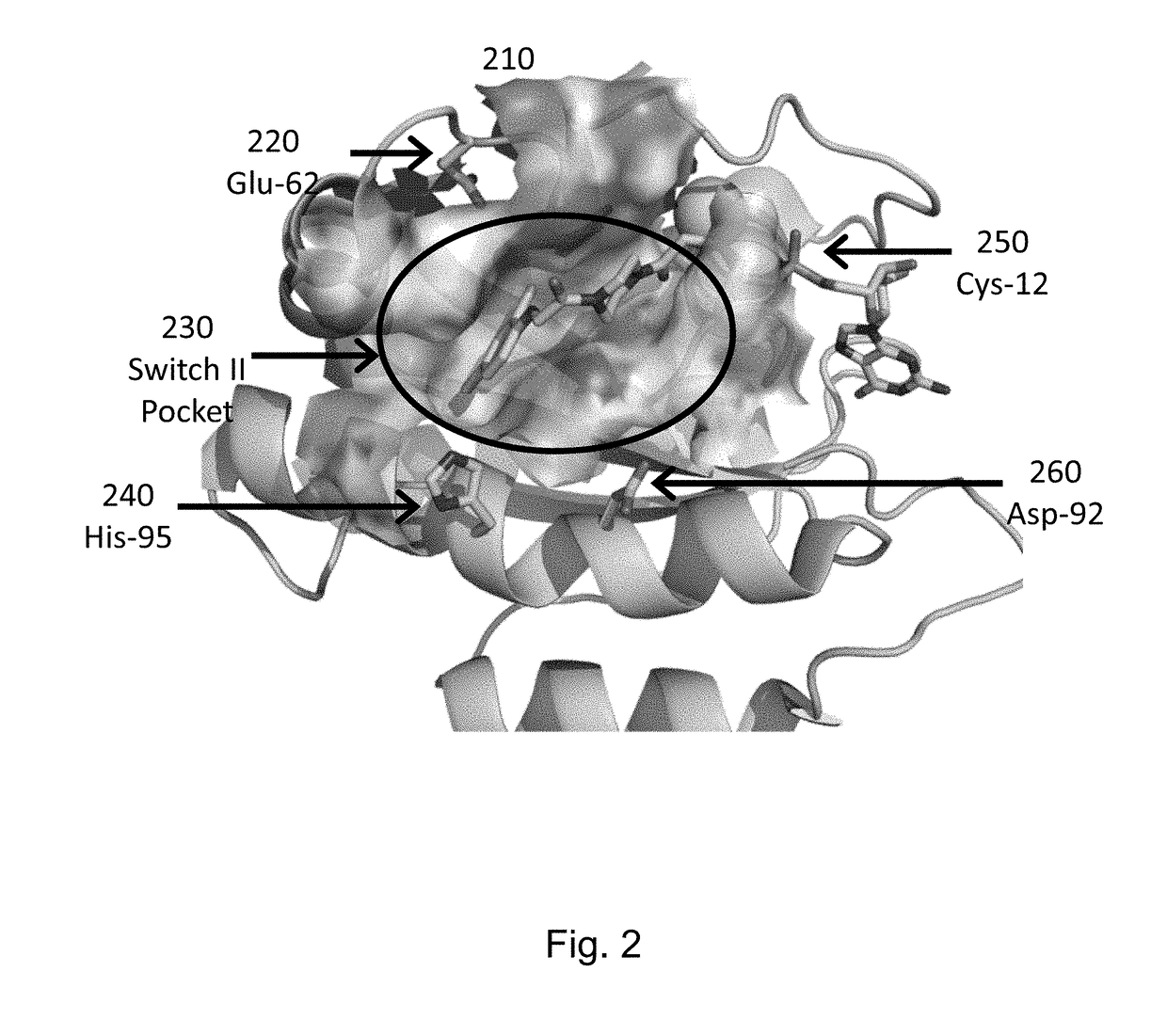 Method for screening inhibitors of Ras