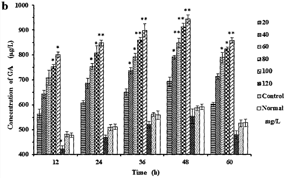 Gingko cell culture system-based study for biosynthesizing ginkgo terpene lactones from levopimaradiene