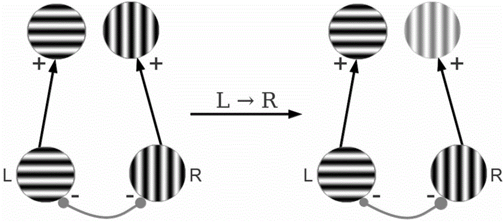 System for treating visual dysfunction by adopting ocular dominance regulation