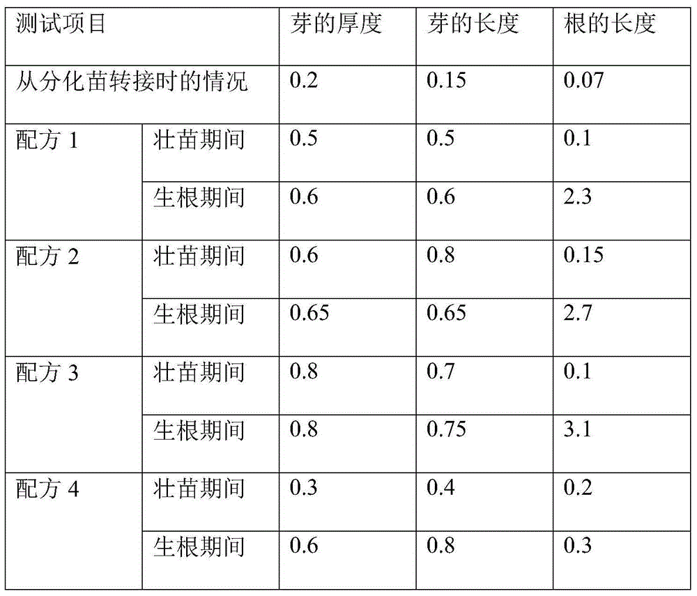 Banana tissue culture propagation method