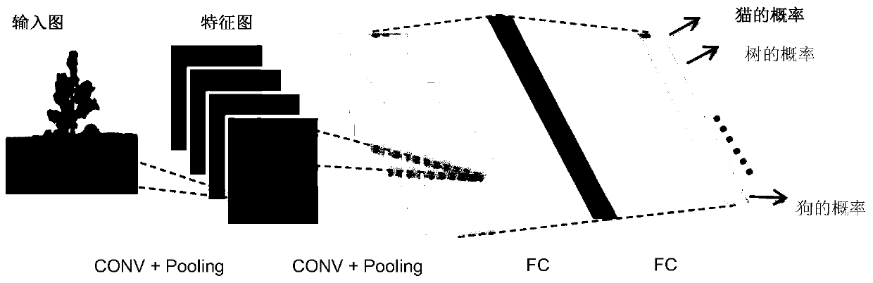 User profile vector generation method and device