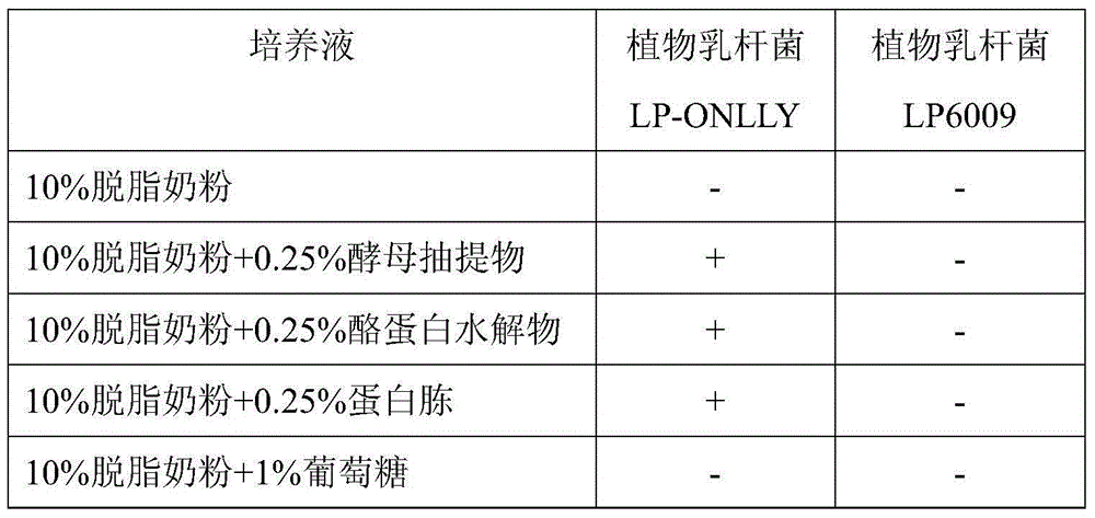 Lactobacillus plantarum (LP-ONLLY) and application thereof in active fermented milk