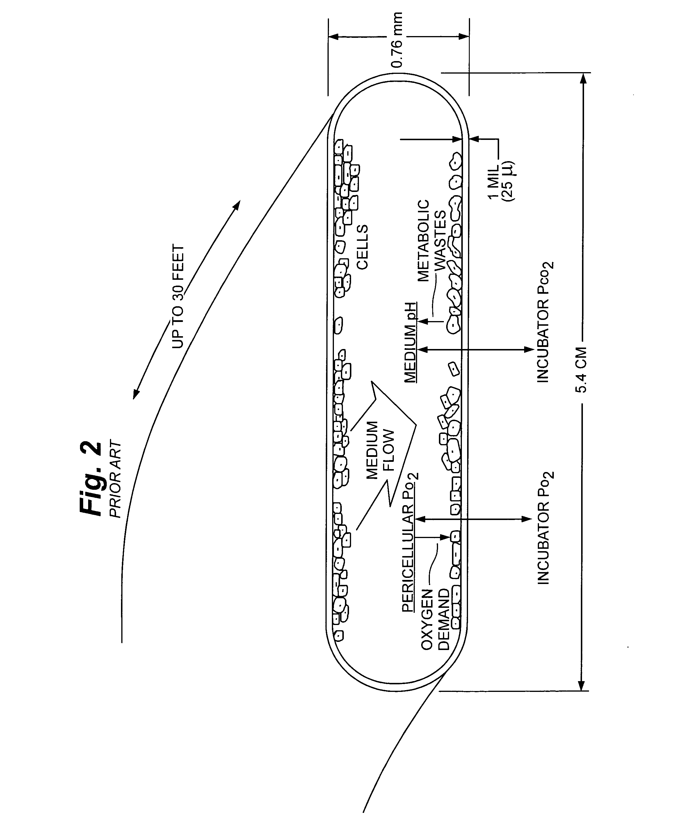 Cell culture methods and devices utilizing gas permeable materials