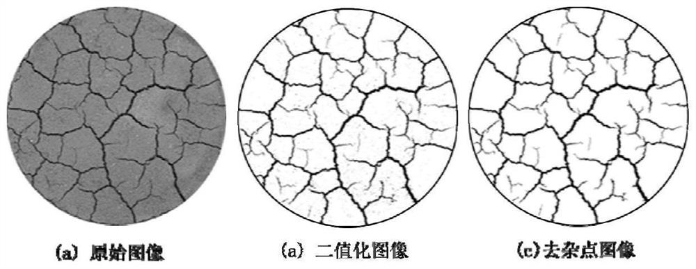 A method of using microorganisms to prevent and control soil shrinkage and cracking