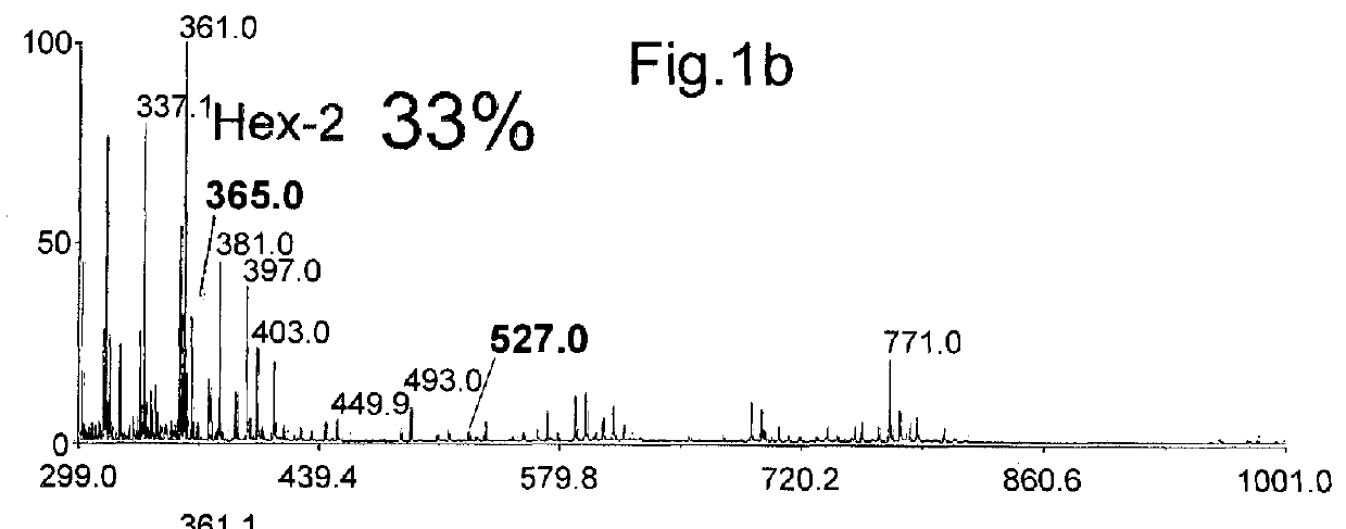 In vitro diagnostic method for an invasive fungal infection using MALDI-TOFF mass spectrometry