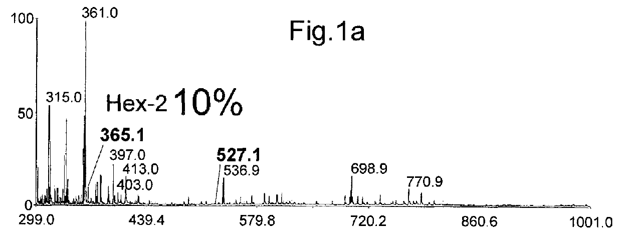 In vitro diagnostic method for an invasive fungal infection using MALDI-TOFF mass spectrometry